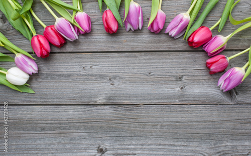 Frame of fresh tulips arranged on old wooden background