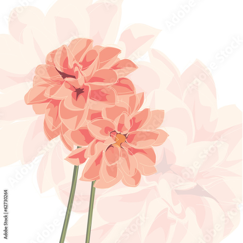 Fototapeta Naklejka Na Ścianę i Meble -  Vector background with flower