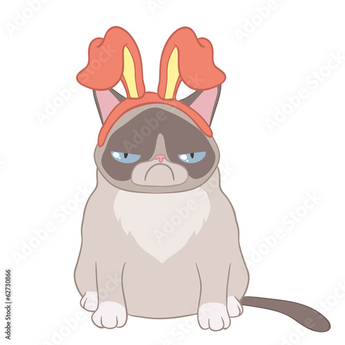 Cat Alya hare ears