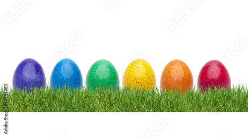 Bunte Ostereier in der Wiese
