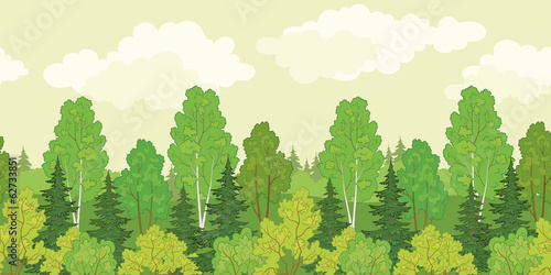 Seamless background  forest