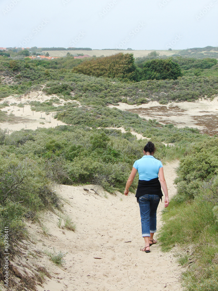 Fototapeta premium promenade dune sable