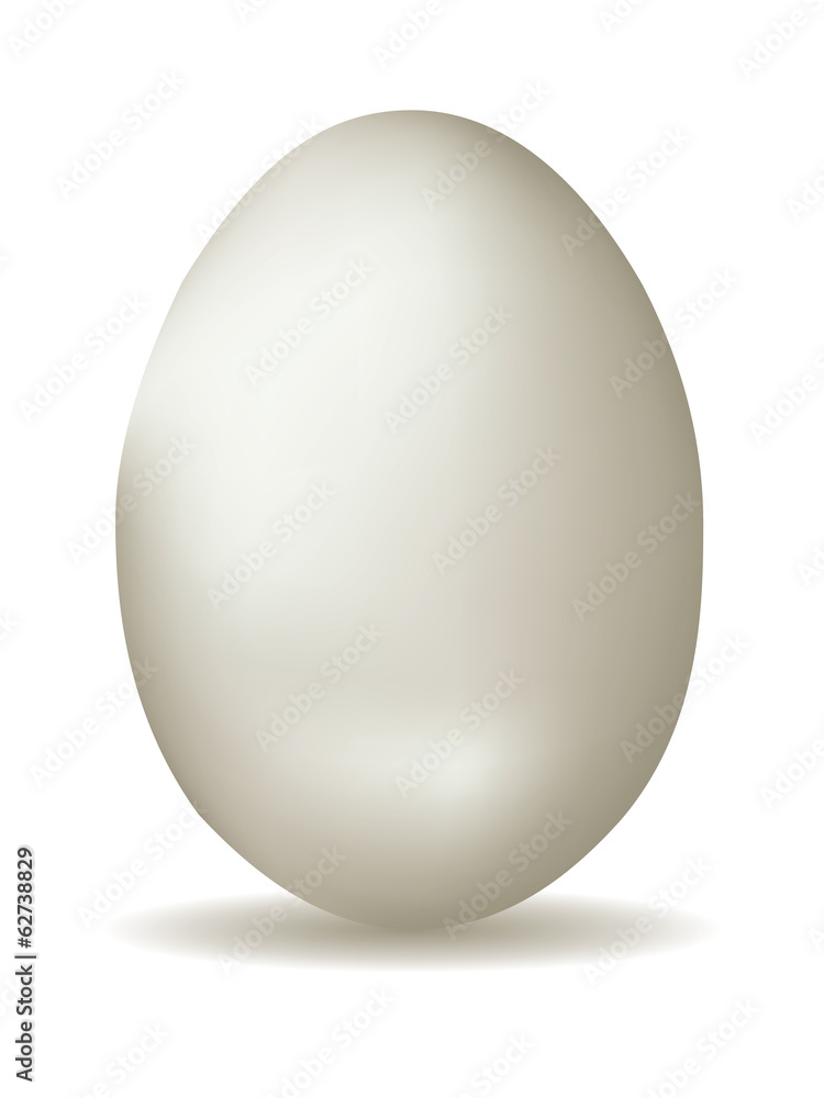 White Egg White Egg
