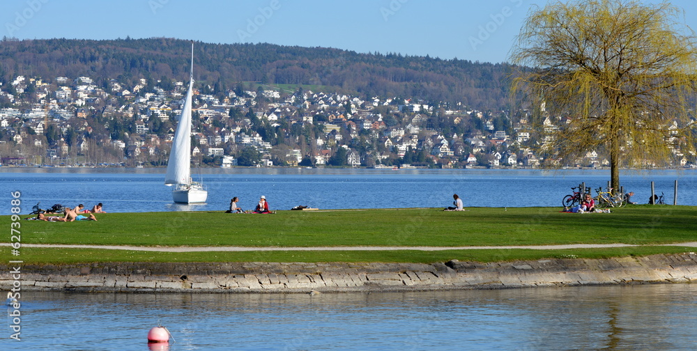 Obraz premium zurich...espace vert