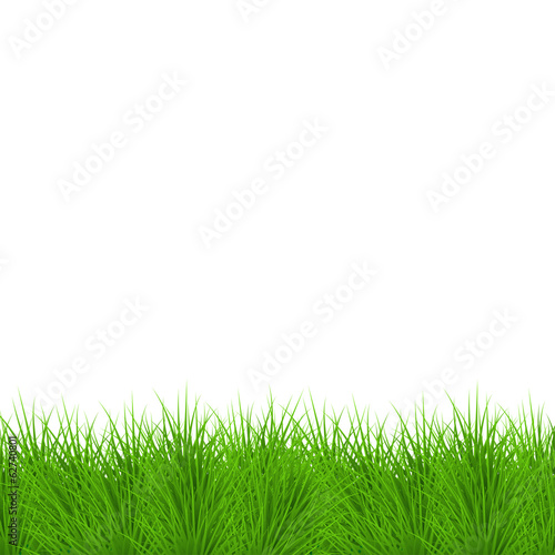 Vector modern grass background. Eps 10 illustration