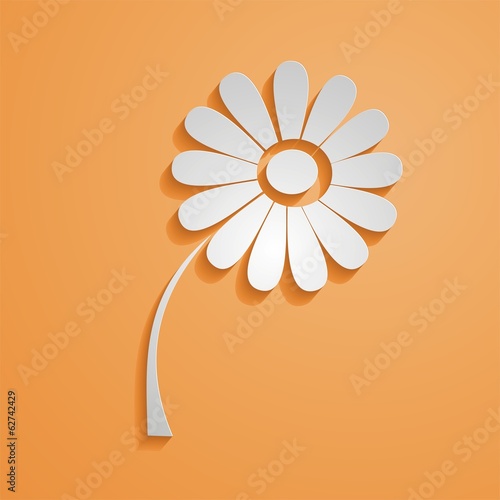 daisy flower nature scissors paper marguerite