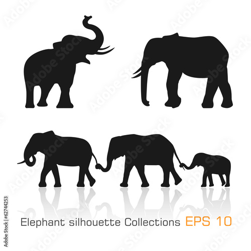 Set of silhouette elephants in different poses