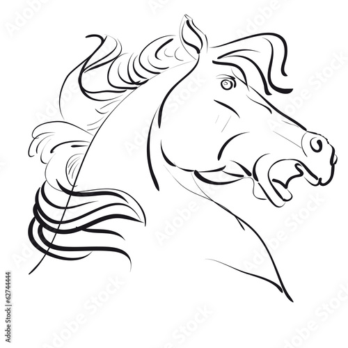 Illustration of horse