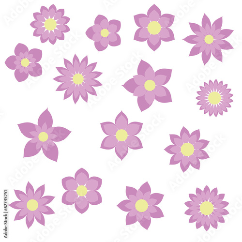 purple flowers with different shapes floral