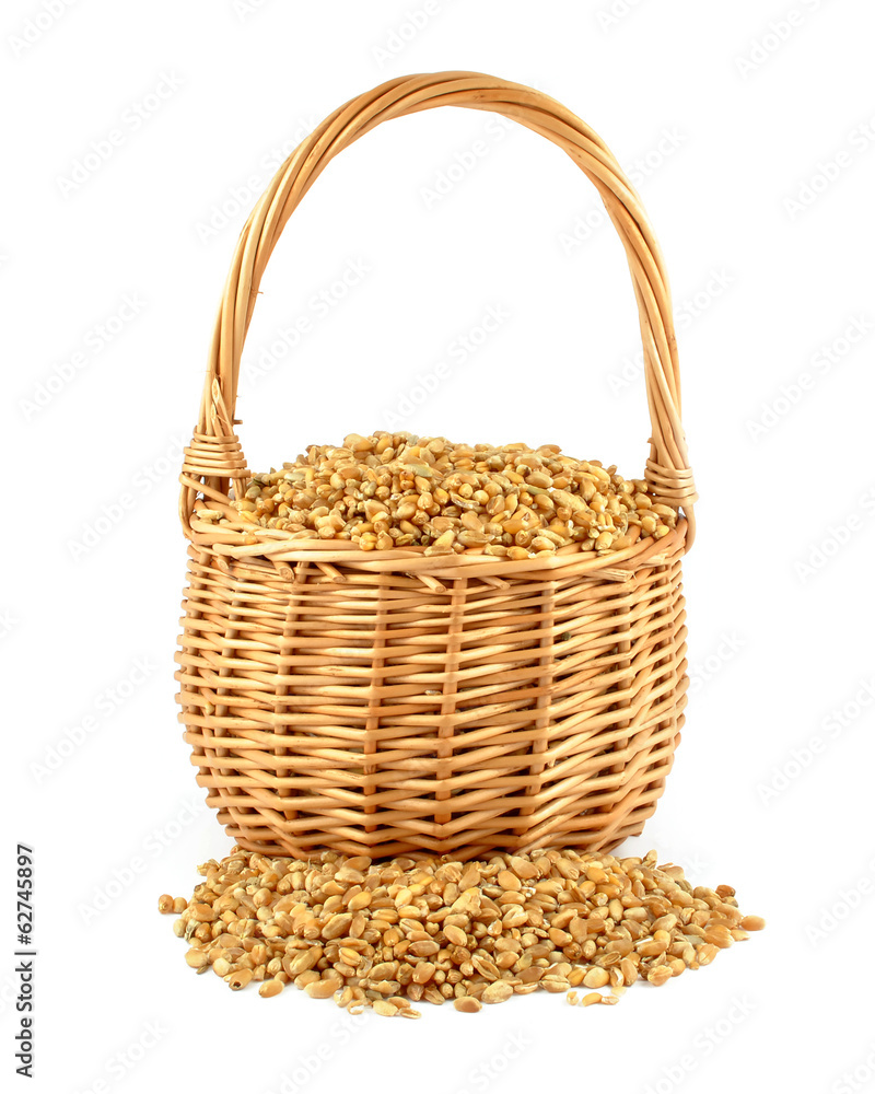 grain grain