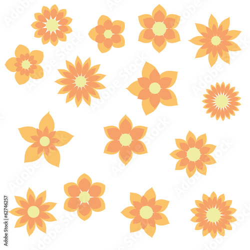 yellow orange flowers with different floral shapes