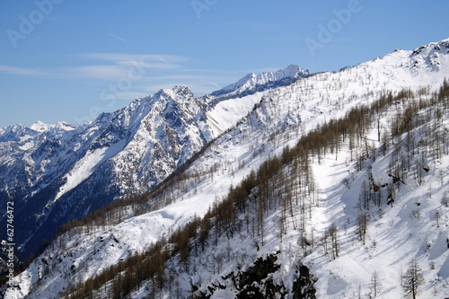Monte Rosa