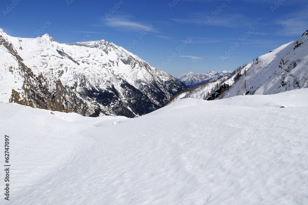 Monte Rosa