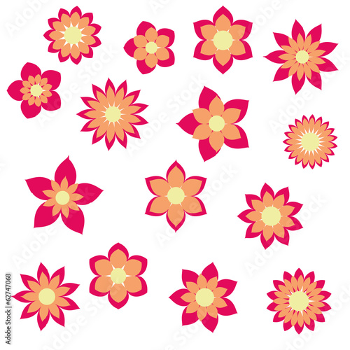 red orange flowers with different floral shapes