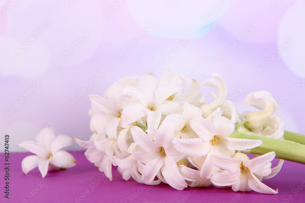 White hyacinth on table on bright background White hyacinth on table on bright background
