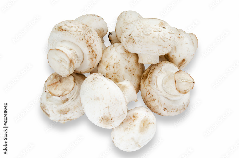 Fresh champignon Fresh champignon