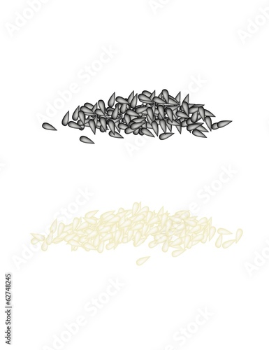 Stack of Sesame on A White Background