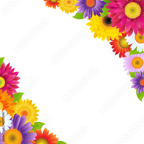 Fototapeta Naklejka Na Ścianę i Meble -  Colorful Gerbers Flowers Border