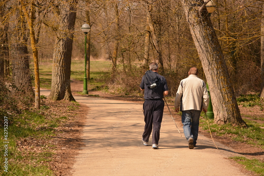 Fototapeta premium Dos hombres con baston caminando por la naturaleza