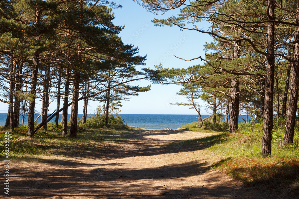 Obraz premium pathway to the sea