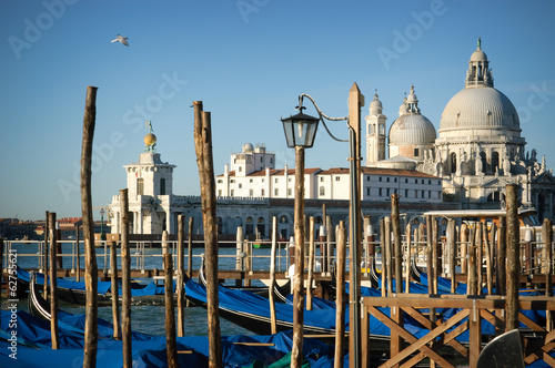 venice city detail photo