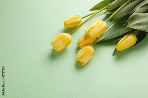 Fototapeta Naklejka Na Ścianę i Meble -  チューリップ