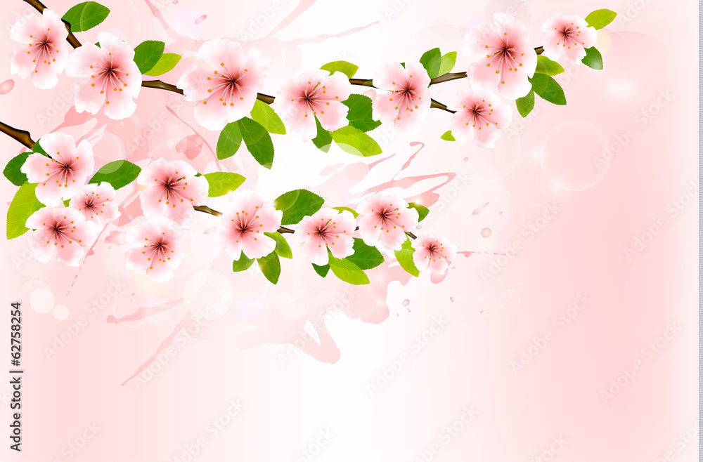 Spring background with blossoming sakura branches. Vector illust Spring background with blossoming sakura branches. Vector illust