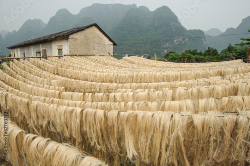 Sisal fiber, raw material from China