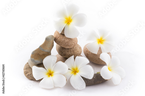 isolated of the balance stones with Frangipani flower is zen for