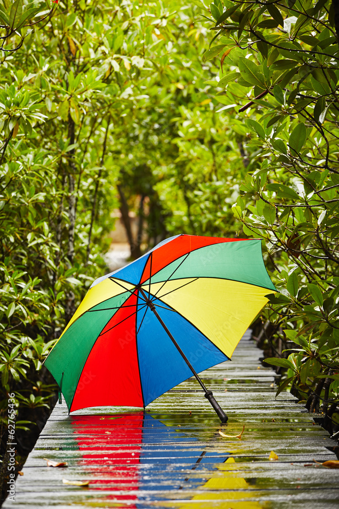 Umbrella in rain