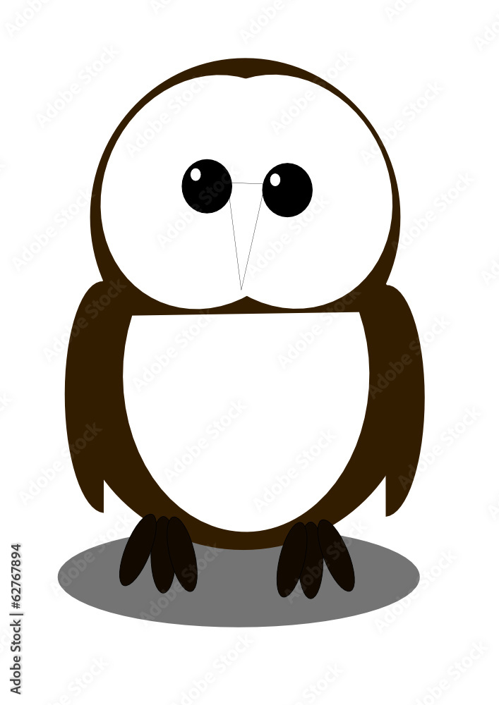Obraz premium Barn owl