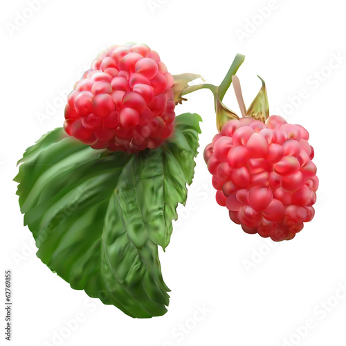 ripe raspberries