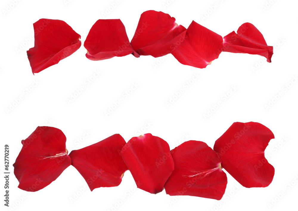 Beautiful red rose petals, isolated on white Beautiful red rose petals, isolated on white