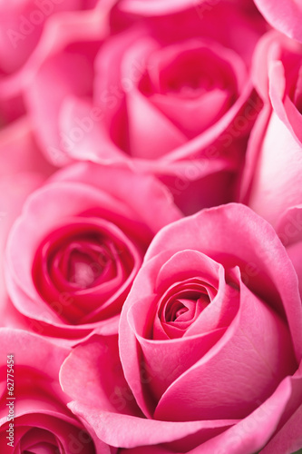 Obraz na płótnie beautiful pink roses background closeup w salonie