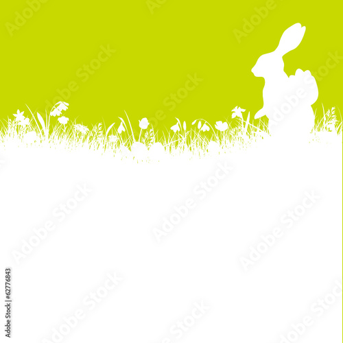 Bunny Basket Meadow Green/White