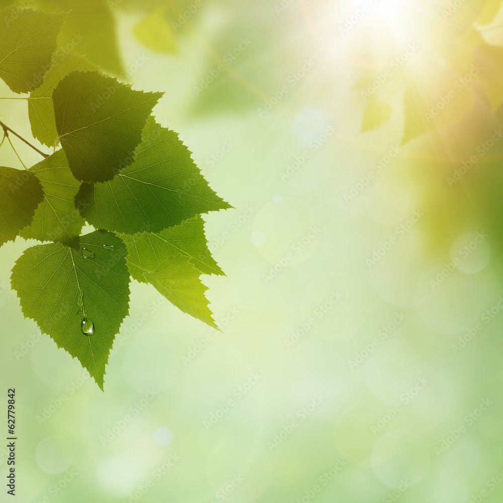 Green Nature, abstract environmental backgrounds for your design Green Nature, abstract environmental backgrounds for your design
