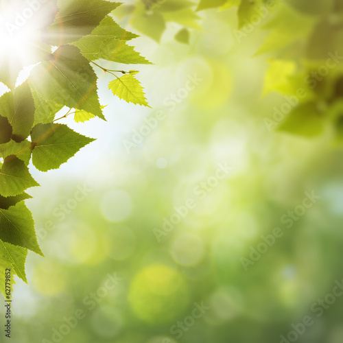 Green Nature  abstract environmental backgrounds for your design