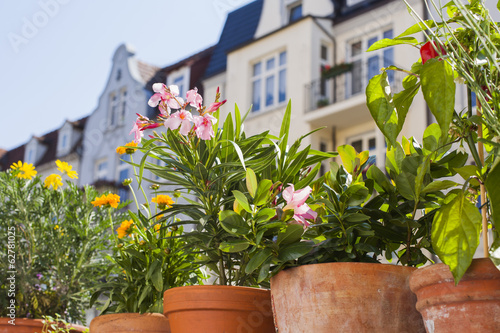 Fototapeta Naklejka Na Ścianę i Meble -  Blumen auf Balkon