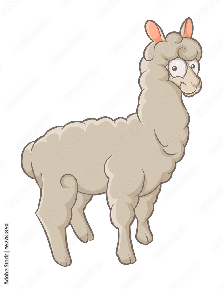 alpaca alpaca