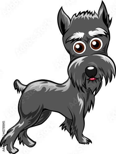 Schnauzer