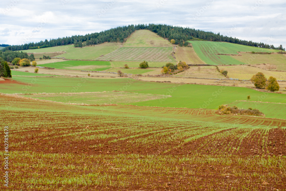 paysage rural d'Auvergne, France