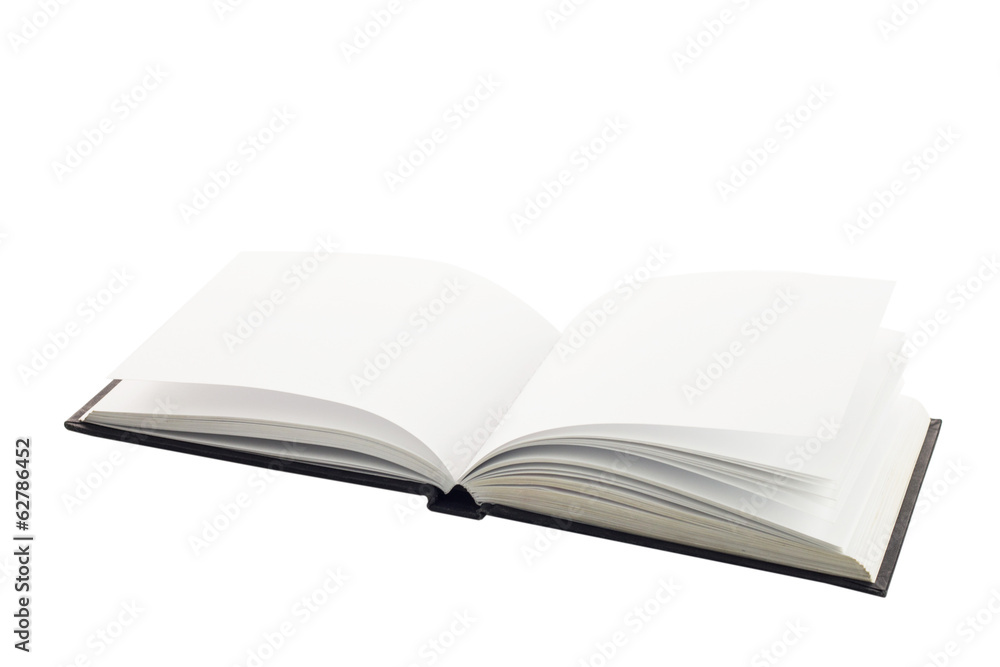 open spread of book with blank white pages open spread of book with blank white pages