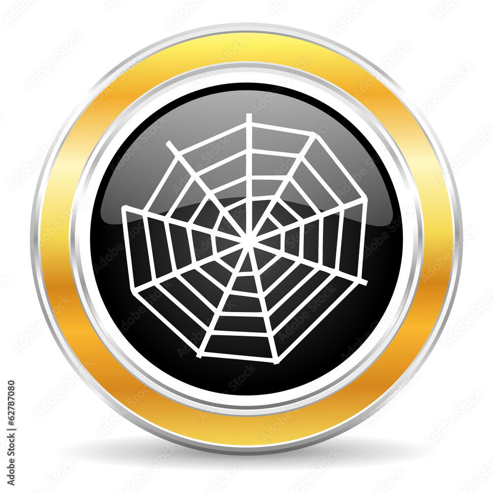 Naklejka premium spider web