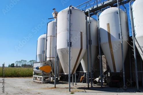 Group of small silos for storing grain in a farm