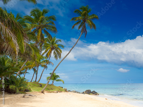 Fototapeta Naklejka Na Ścianę i Meble -  Tropical beach - Spiaggia caraibica