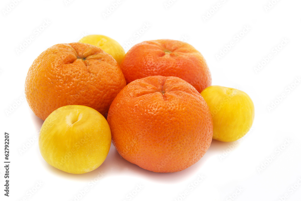 plum, mandarin plum, mandarin