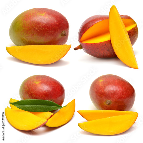 Collection of mango