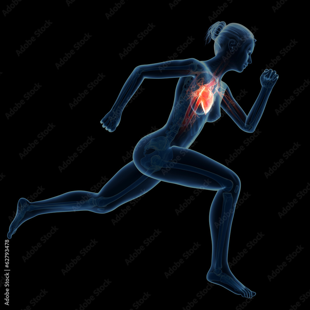 illustration of a running woman - visible heart