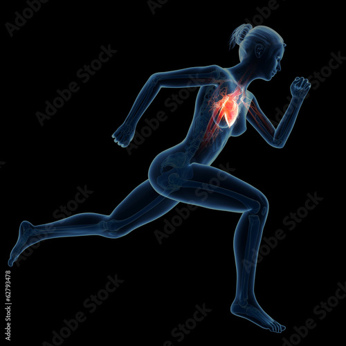 illustration of a running woman - visible heart © Sebastian Kaulitzki