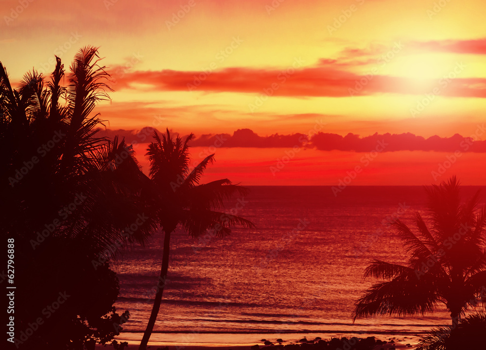 Obraz premium Red tropical sunset with palm trees
